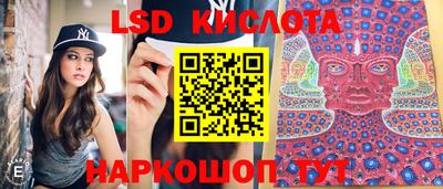 шишки Апрелевка