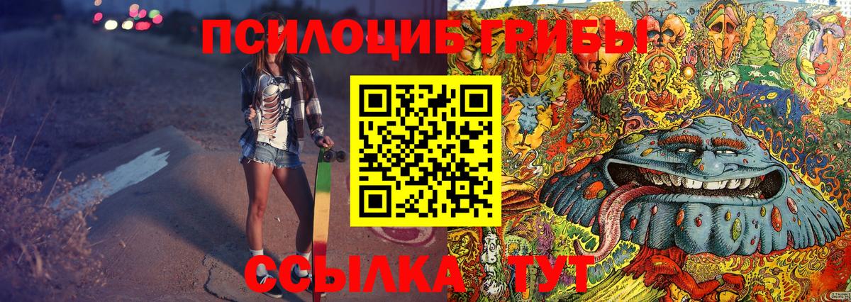 Псилоцибиновые грибы Cubensis Баксан