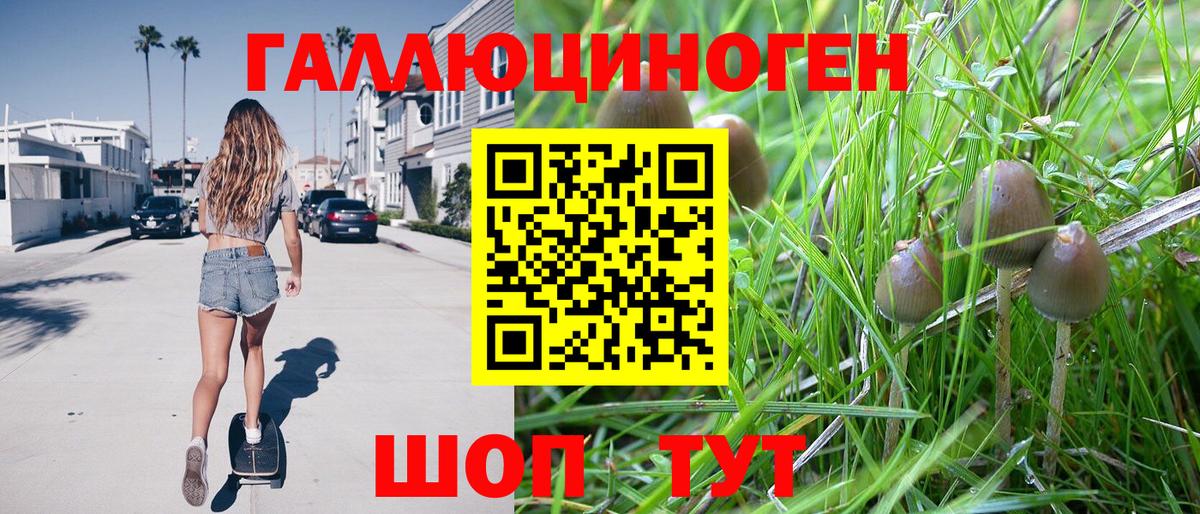 Баксан  Галлюциногенные грибы MAGIC MUSHROOMS  Вход с VPN 